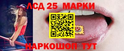 индика Заволжье