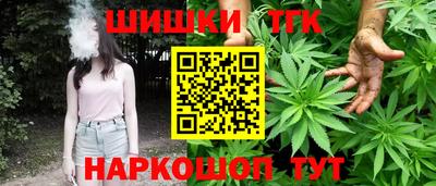 индика Заволжье
