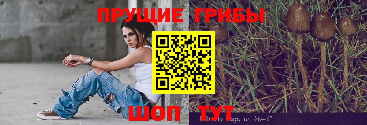 Галлюциногенные грибы GOLDEN TEACHER  Вход с VPN  Галлюциногенные грибы мухоморы  Тейково 